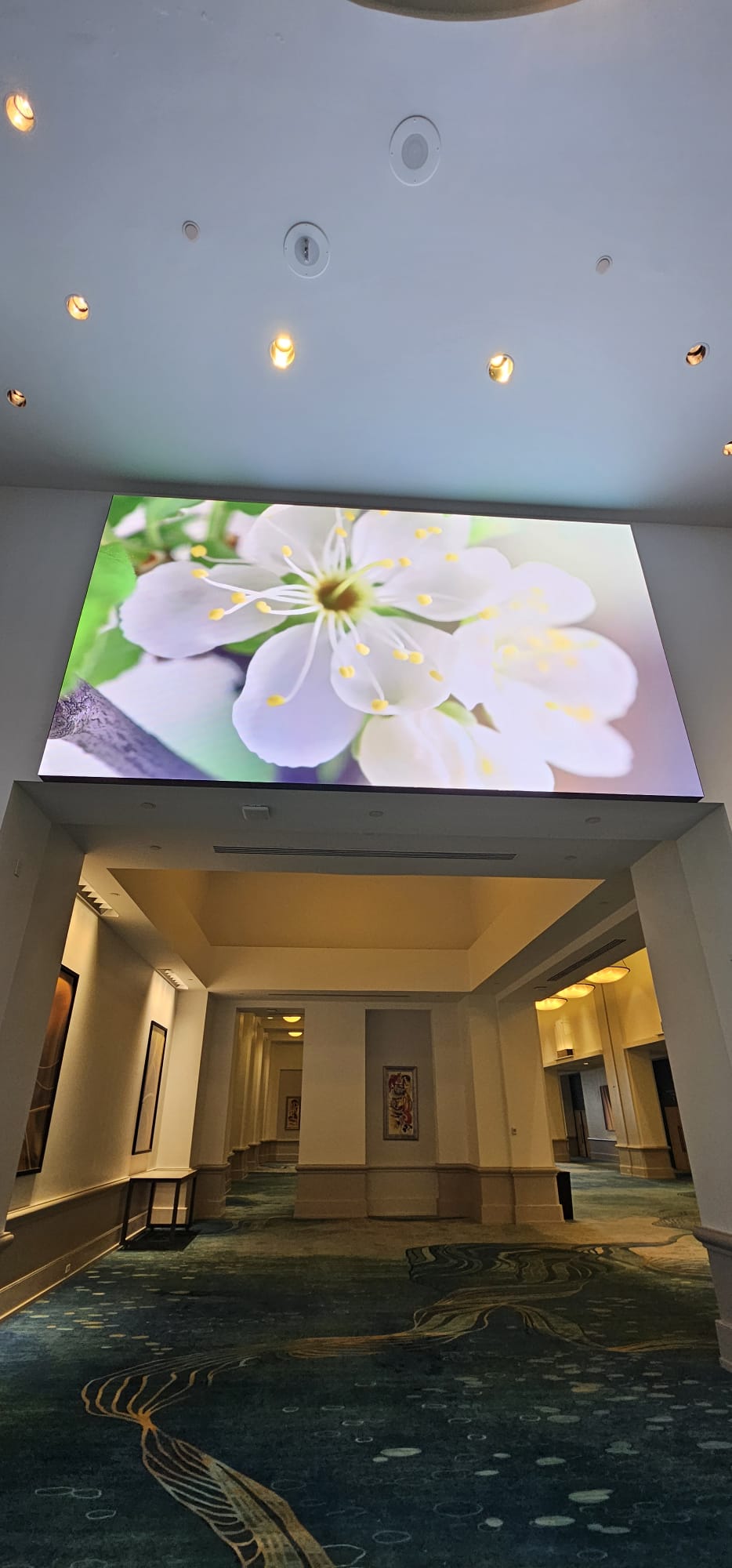 Digital Signage project by InCTRL Technology Services — Walt Disney World Dolphin LED Wall, Central Florida (photo 3)